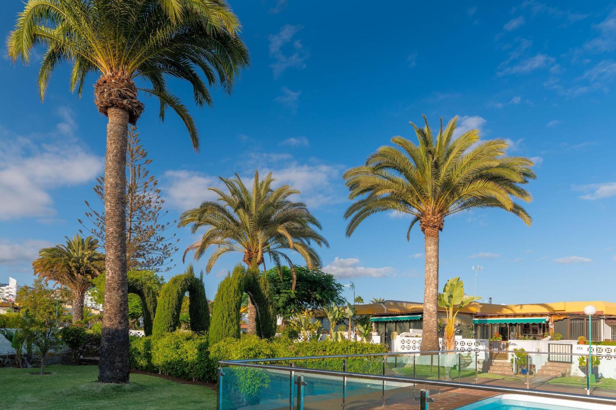 Bungalow Siena Center Playa Del Ingles Maspalomas  Exterior photo
